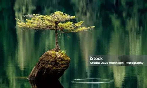 Image Caption Testing